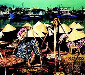 Entwicklungspotential vietnamesischer Dörfer