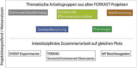 Interdisziplinäre Arbeitsgruppen