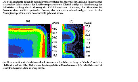Optische Sensorik der elektrischen Feldstärke und der Temperatur
