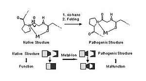 Reaktion von Metallionen