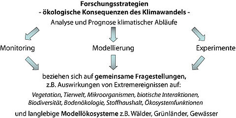 Forschungsstrategien - ökoligische Konsequenzen des Klimawandels Forschungsstrategien - ökoligische Konsequenzen des Klimawandels