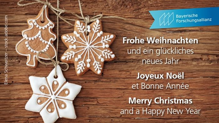 BayFOR wünscht Frohe Weihnachten