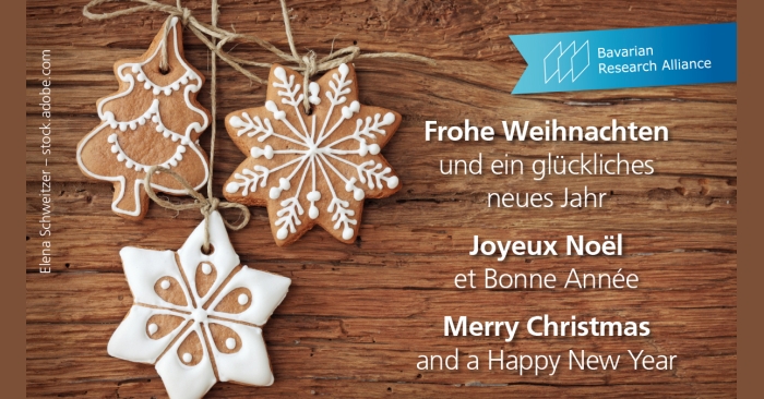 BayFOR wishes Merry Christmas