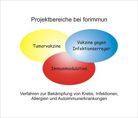 Projektbereiche forimmun