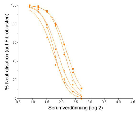 Neutralisationskapazität eines Serums gegenüber Fibroblasteninfektionen